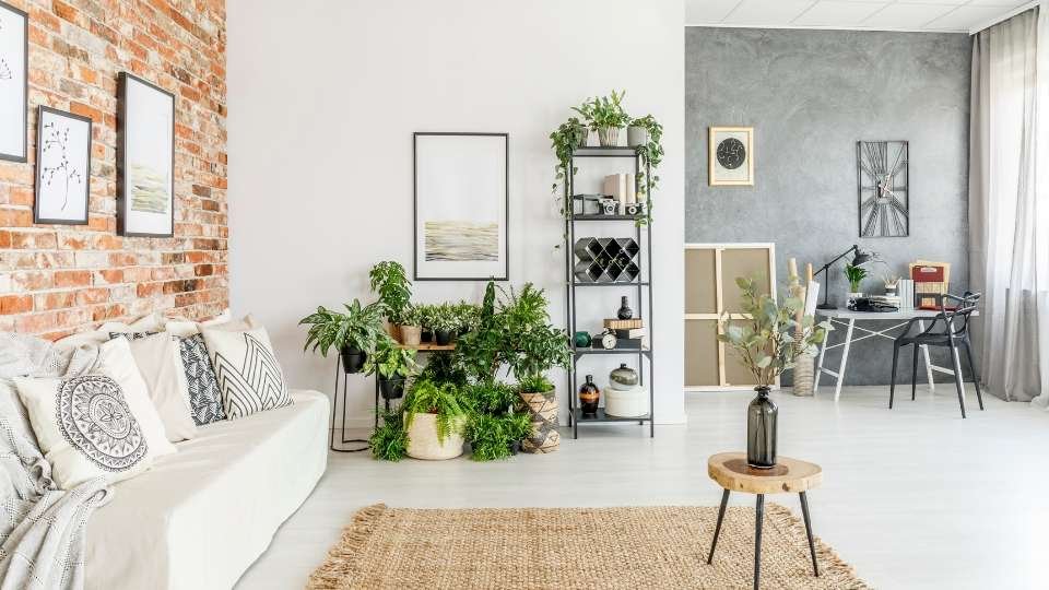 Bringing Nature Indoors: The Power of Plants in Home Décor